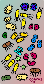 Germs! Bugs!